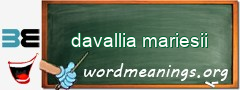 WordMeaning blackboard for davallia mariesii